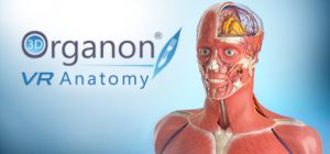 3d organon vr anatomy1.jpg