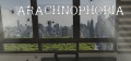 Thumbnail for version as of 07:41, 18 September 2016