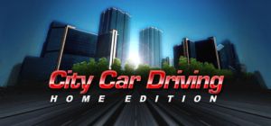 City car driving1.jpg